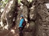 Glcksteig_001
