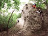 Glcksteig_010
