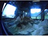 Alp_3464_klein