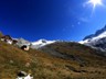 Schnbichler-Horn_05