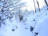 Rachel_Winter-1
