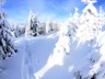 Rachel_Winter-2