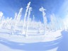Rachel_Winter-3