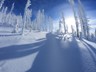 Rachel_Winter-4