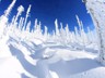 Rachel_Winter-5