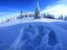 Rachel_Winter-6
