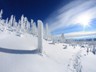 Rachel_Winter-7
