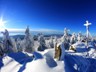 Rachel_Winter-8