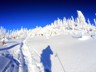 Rachel_Winter-9.1