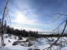 Schareben-Arber_004