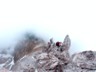 Mindelh_Steig_030