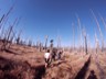 Lusen_Rachel_011