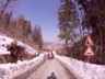 Nagelfluh_052