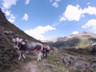 004_Oetztal-Ramolhaus