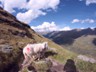 007_Oetztal-Ramolhaus