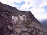 009_Oetztal-Ramolhaus