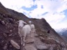 010_Oetztal-Ramolhaus