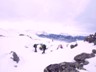 021_Tuxer-Alpen Schneeschuh