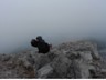031_Blaueis-Watzmann_2019