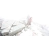 Glockner_026