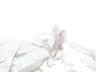 Glockner_027