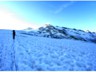 Venediger_014