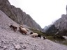 014_Hllental-Klettersteig