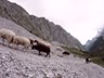 015_Hllental-Klettersteig